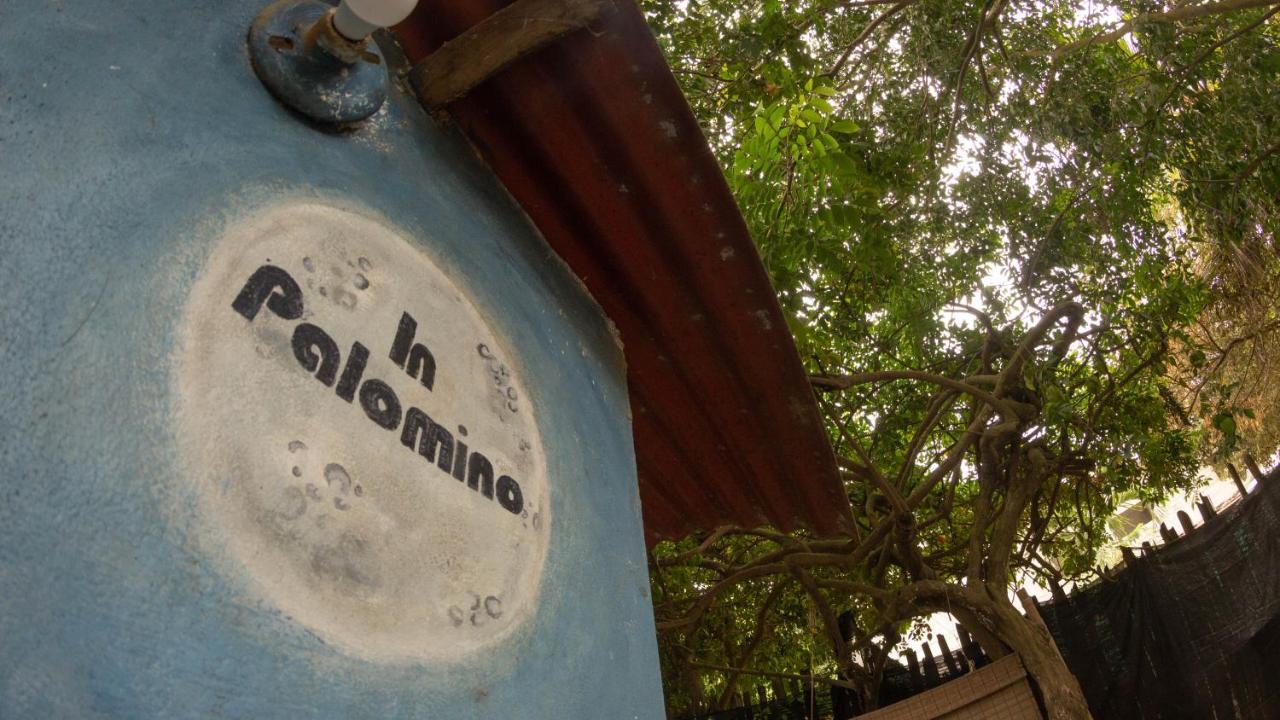 Hostel In Palomino Ngoại thất bức ảnh